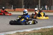 DSC_0313 (4)